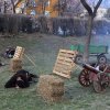IMG_6410