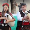 IMG_3224